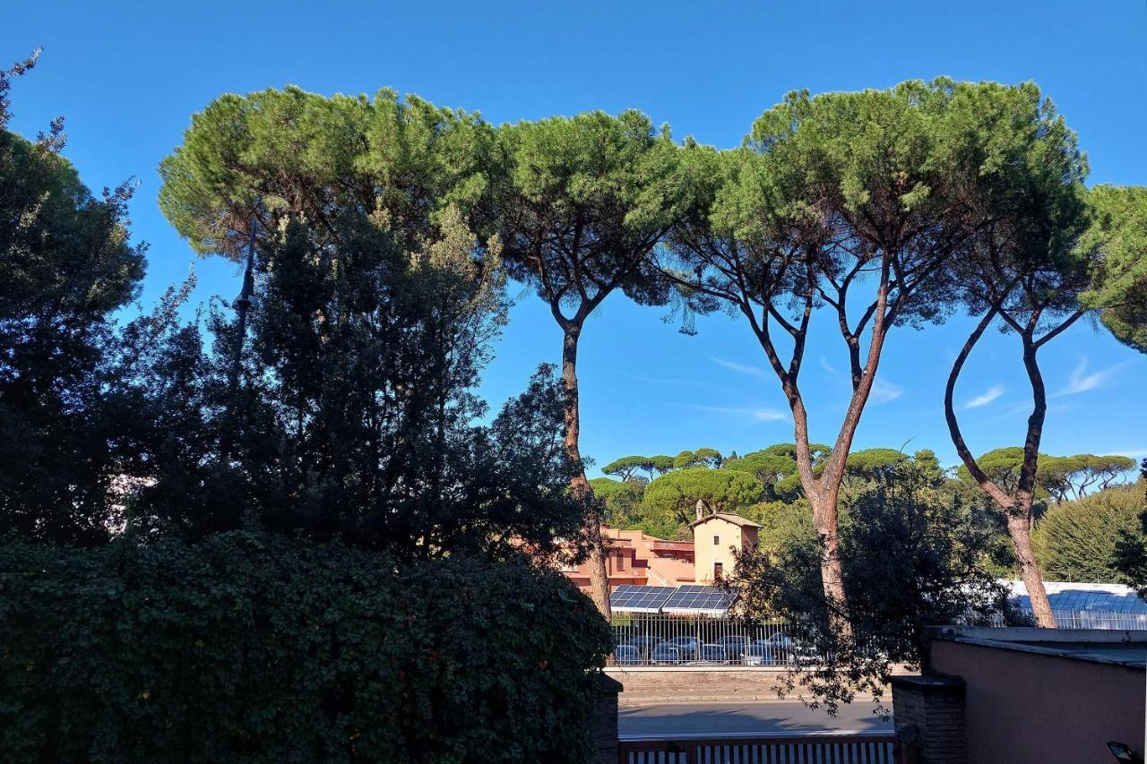 Druso Dream Apartment Colosseo 罗马 外观 照片